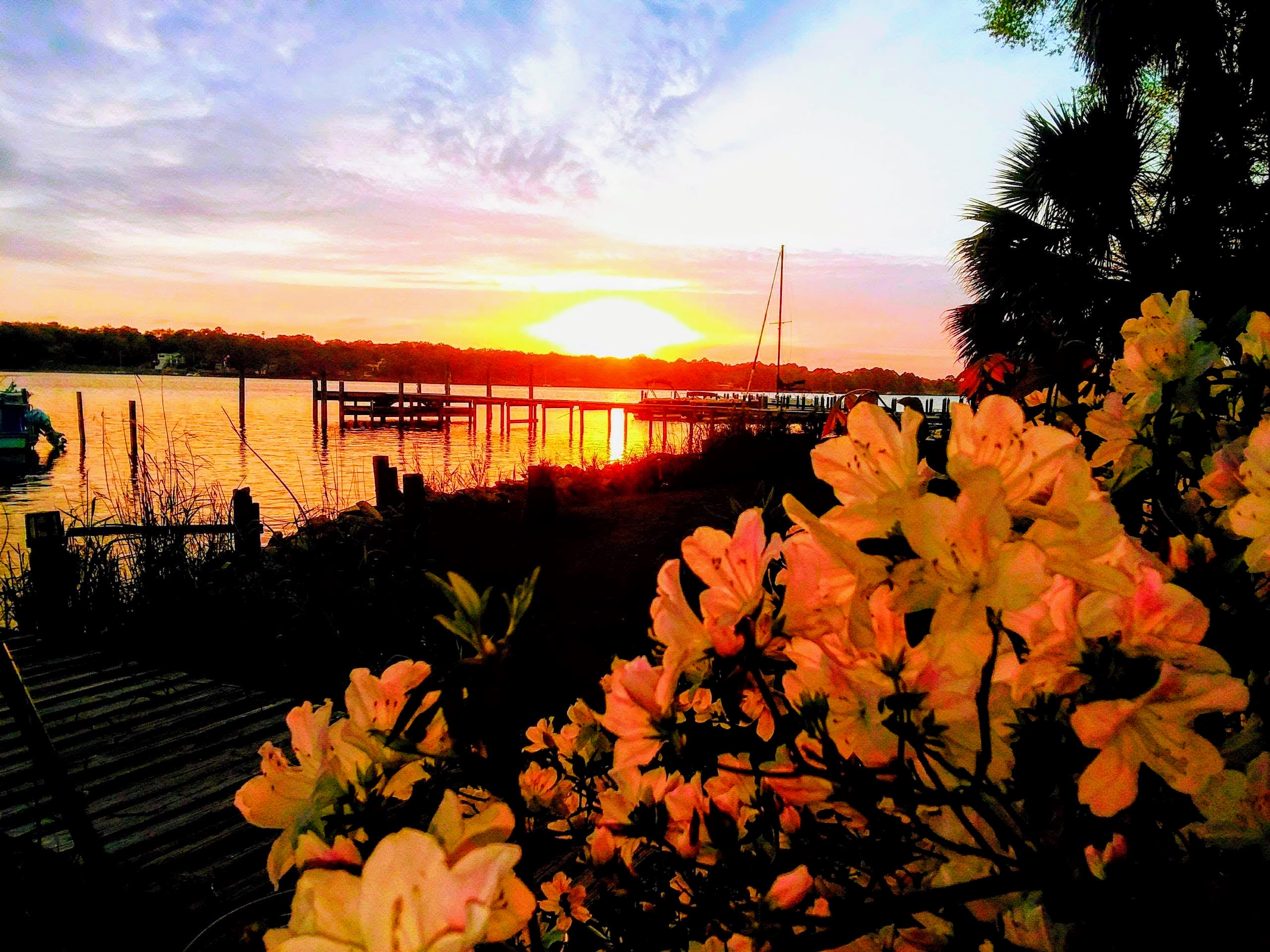 _20180327_184814-EFFECTS